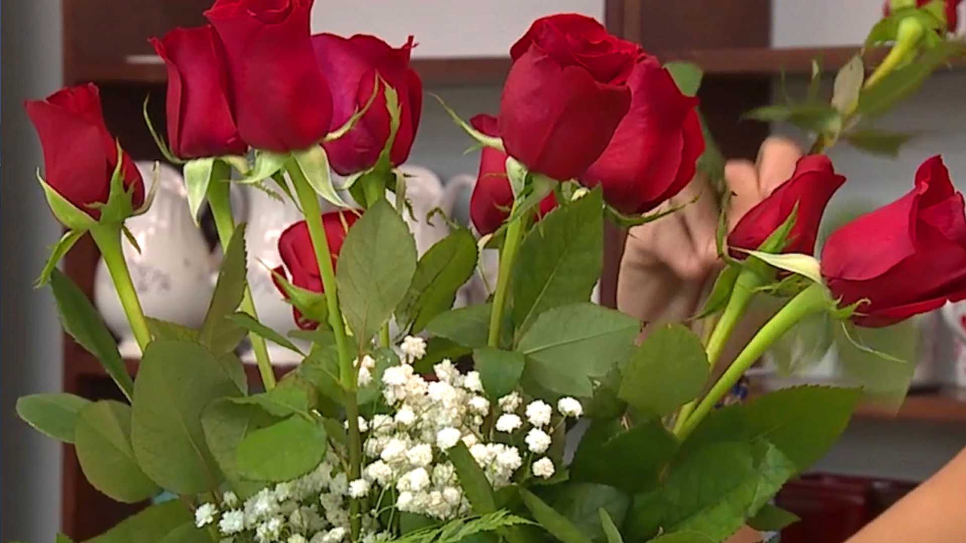   
																From dinners to performances and everything in between: KETV's 2025 Valentine's Day event guide 
															 