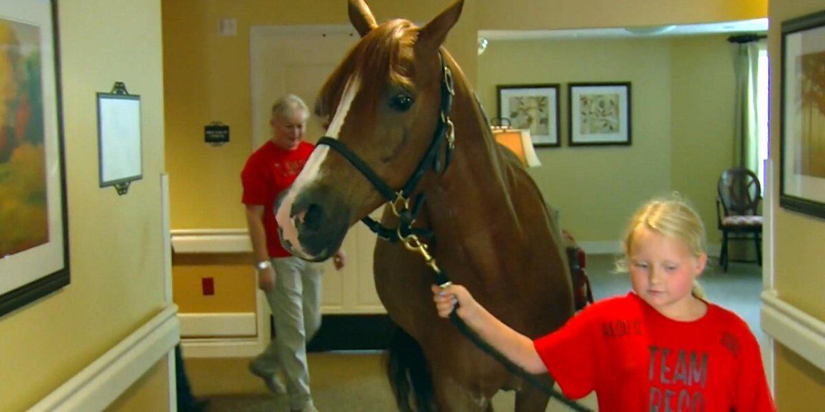  A horse walks into a nursing home 