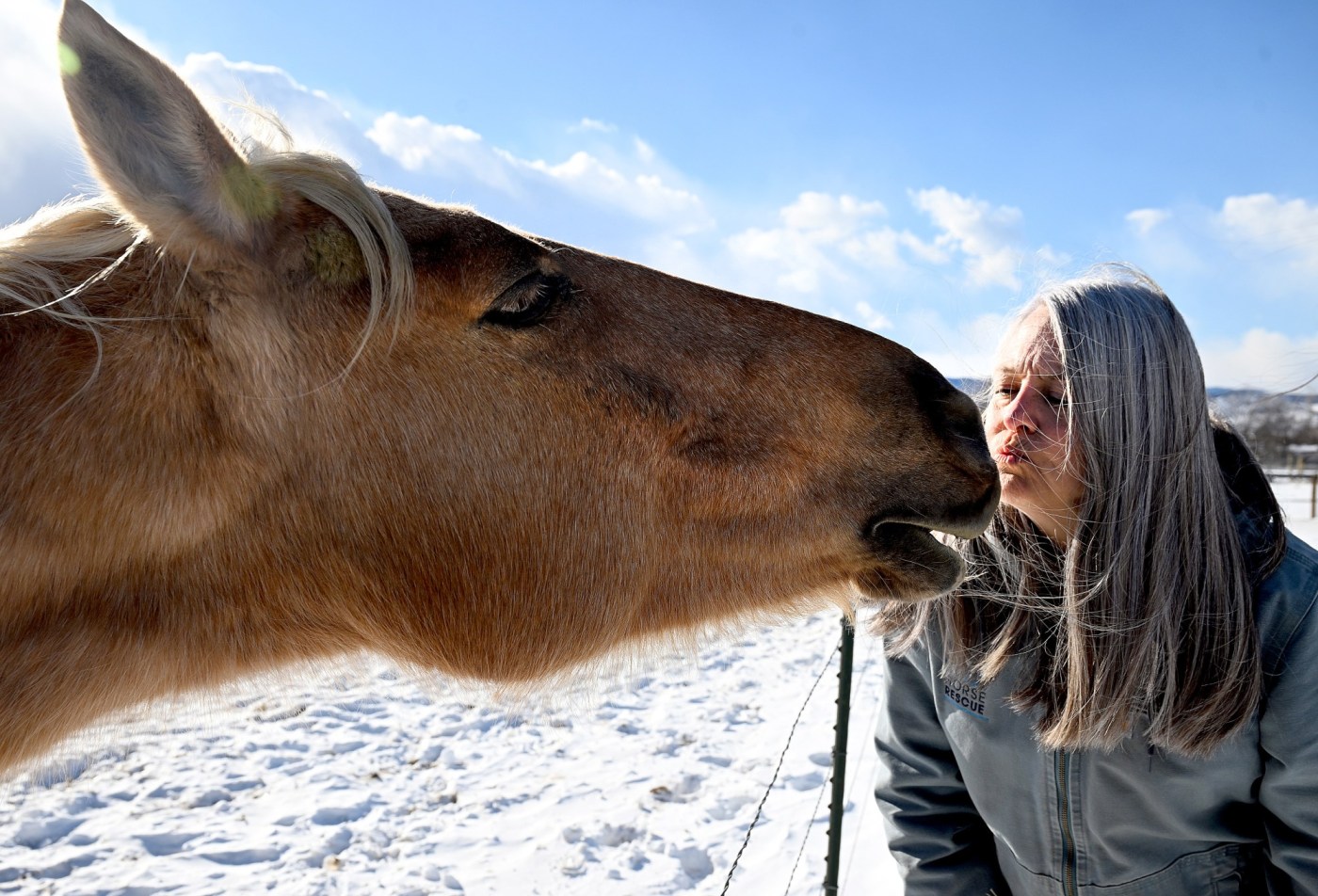  Colorado Horse Rescue rolls out horse evacuation app in California 