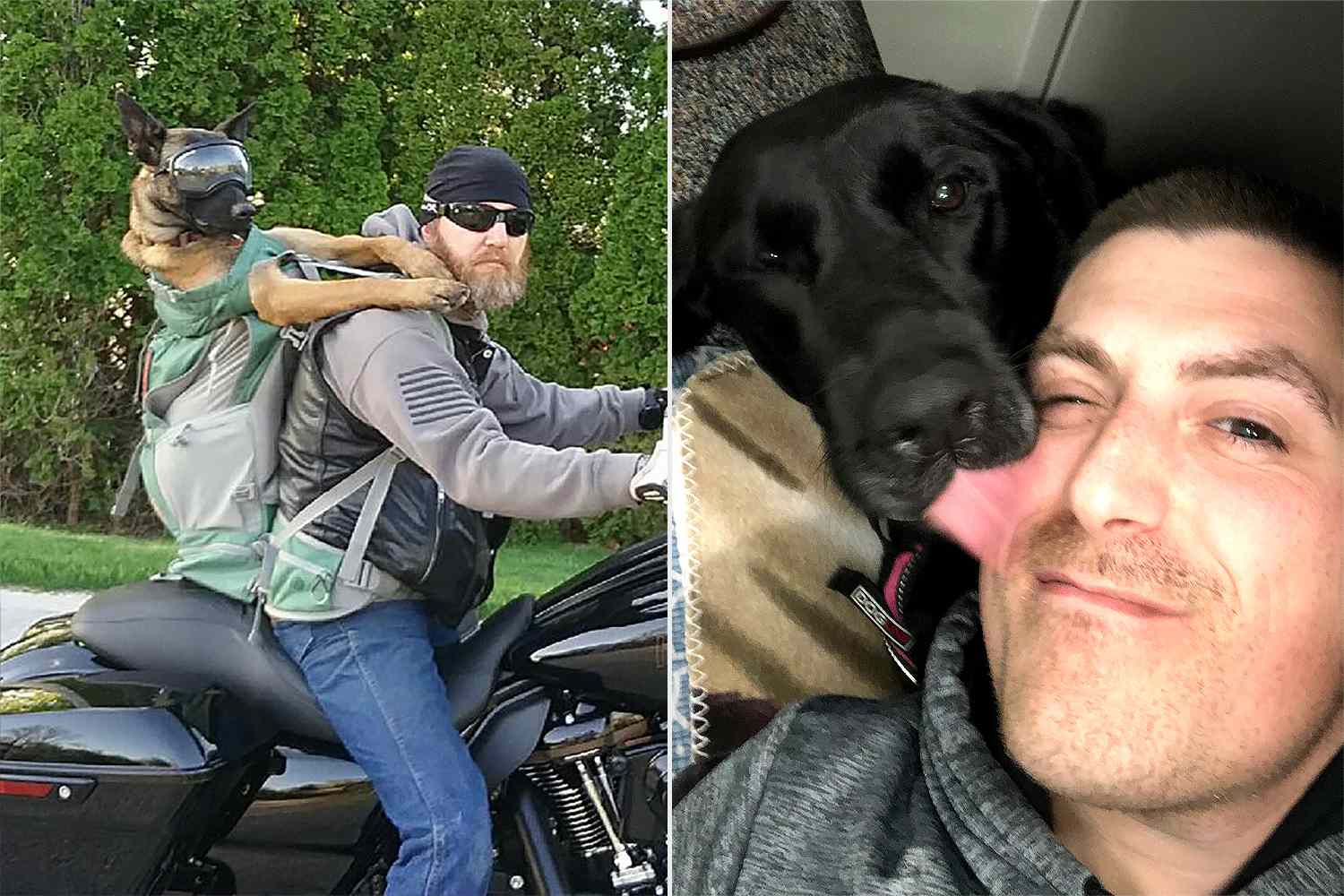   
																Service Dog Program Dedicated to Helping Veterans with PTSD Gives Hope: 'He Saved My Life Many Times Over' 
															 