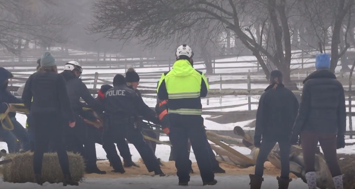  First responders rescue horse from ditch in North Shore town 