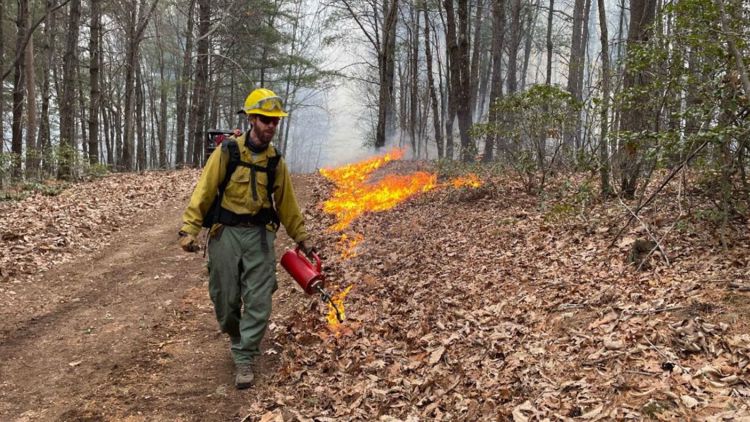  North Fork Fire 60% contained, US Forest Service says 