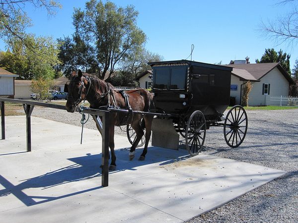  Rockome Gardens - An Amish Themepark 