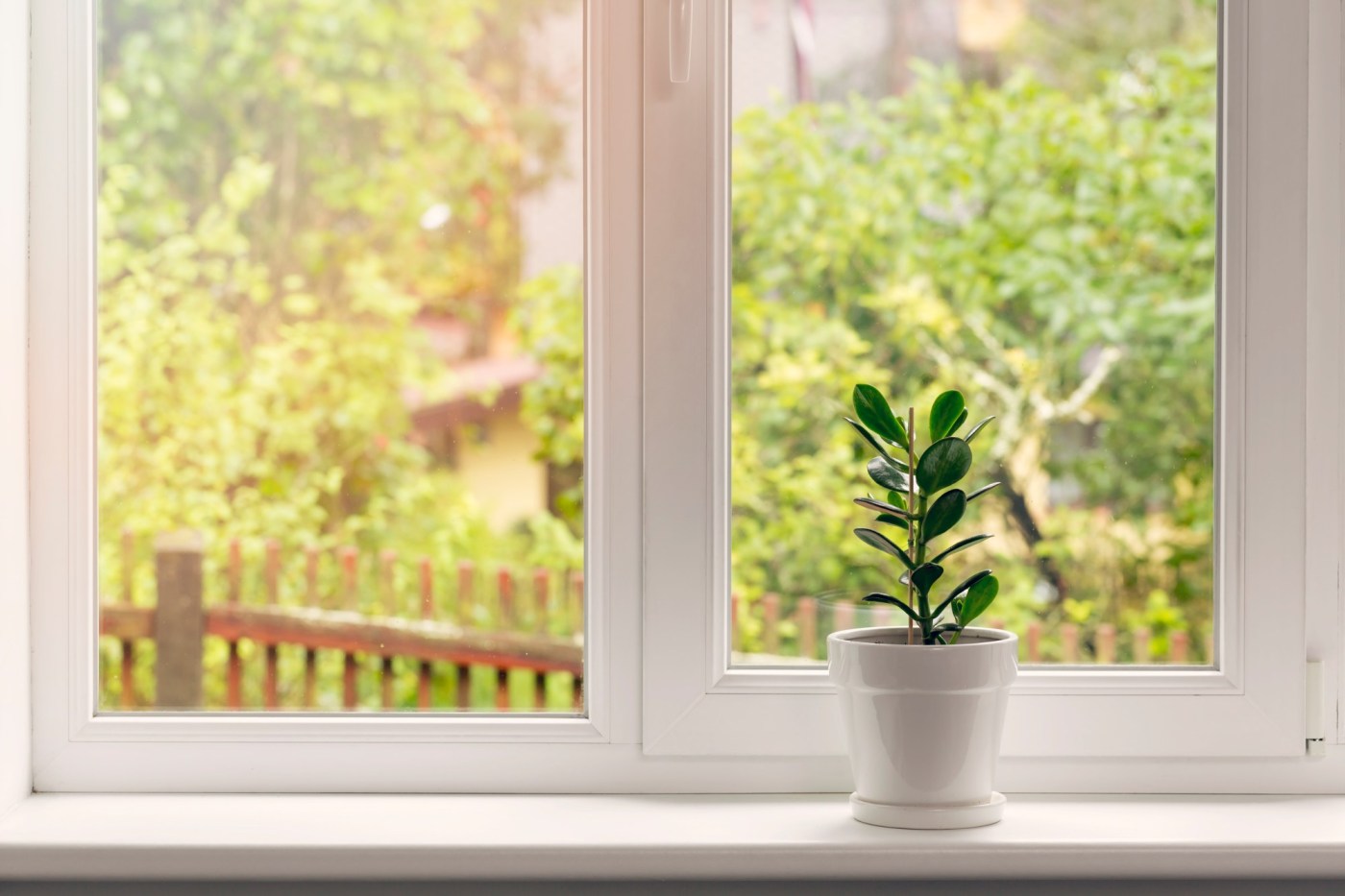  After the Eaton Fire, taking comfort in the safety of wide windowsills 