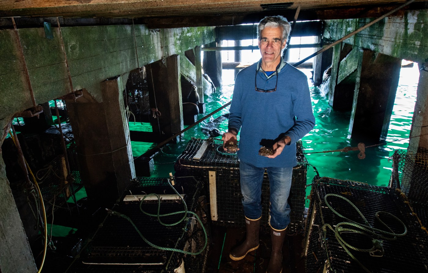  SV Chat: Growing abalone beneath the Monterey Wharf 