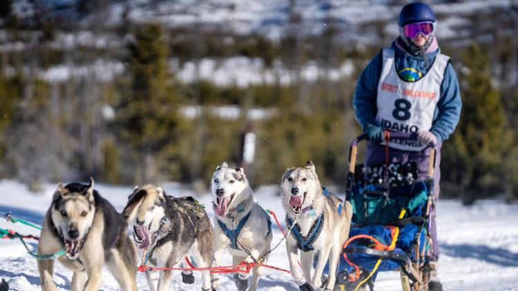  Mush: Idaho teen claims victory in 'Warm Lake Sled Dog Race' after previous year's setback 