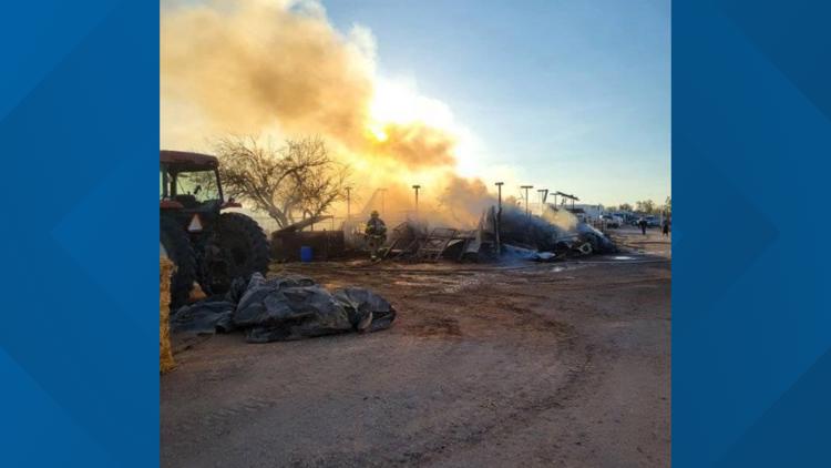  Several animals perish in Pinal County fire 