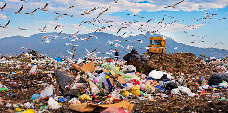  Landfills have a huge greenhouse gas problem. Here’s what we can do about it. 