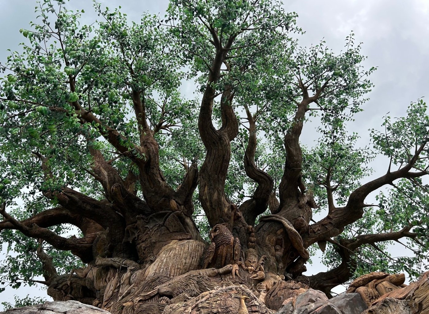  Bugging out: Disney sets last day for Animal Kingdom show 