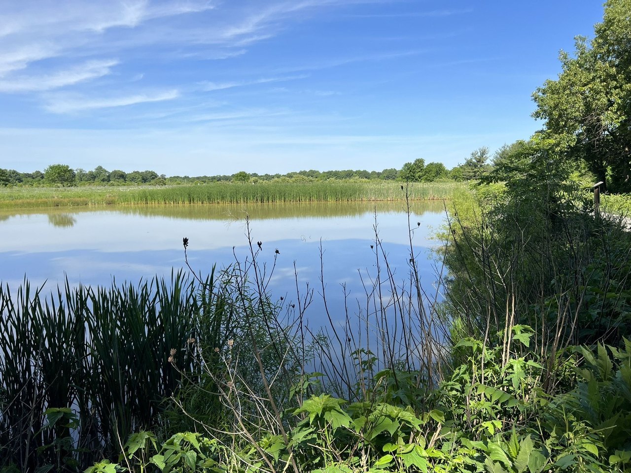  Take An Easy Loop Trail Past Some Of The Prettiest Scenery In Illinois On The Wetland Loop Trail 