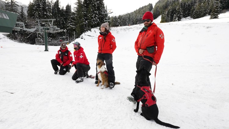  These ski resort heroes give a new meaning to 'Man’s best friend' 