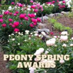  2025 Peony Choice Awards: The Queen of Spring Flowers 