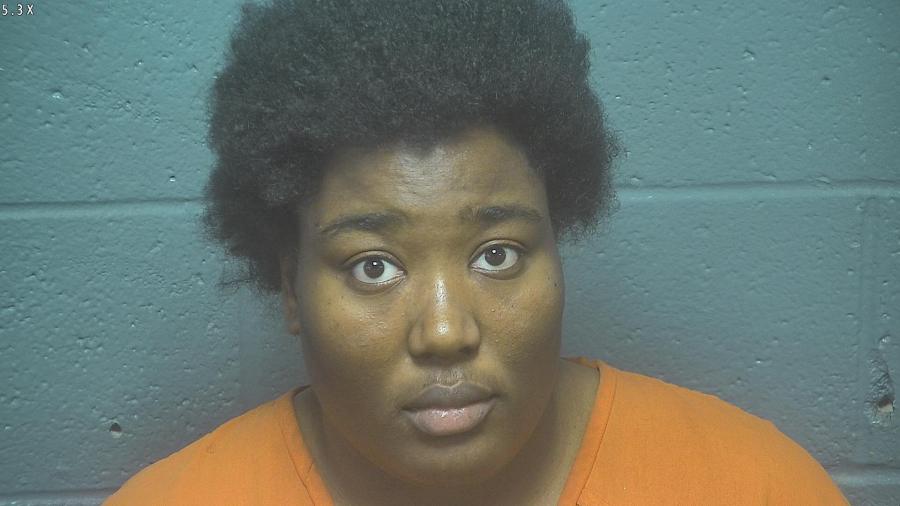  Former DHS employee arrested for kidnapping child, falsifying documents 