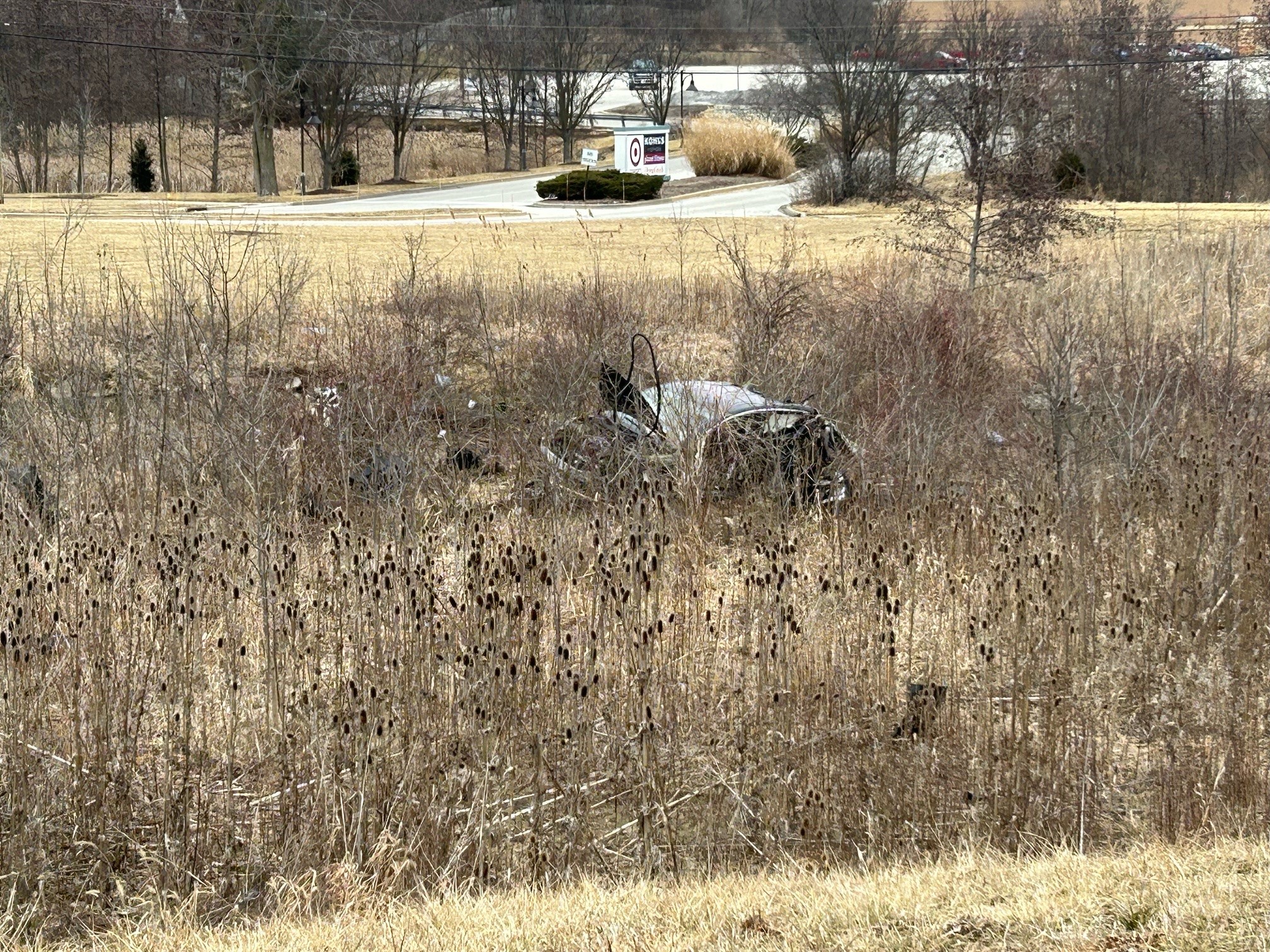  1 killed after car in southwest suburbs drives off roadway and goes airborne, landing in a ravine 