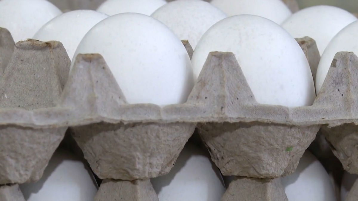  100,000 eggs worth $40,000 stolen from egg supplier in Pennsylvania 