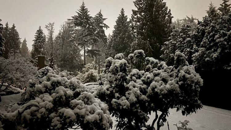  Snow to linger through Thursday morning around Seattle, Everett 