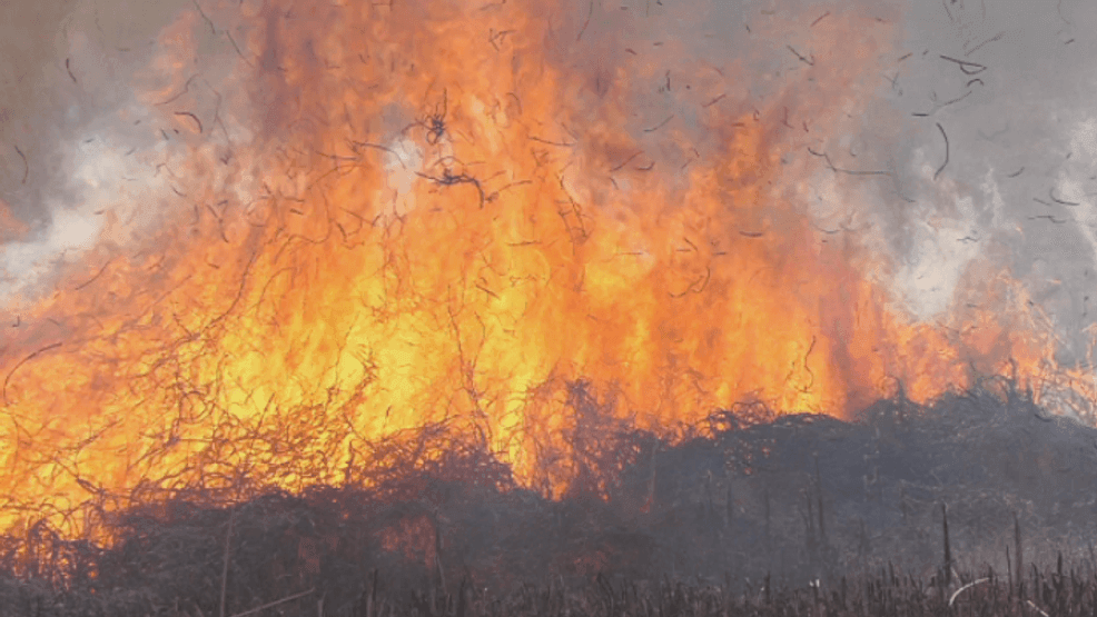  Wildfire hero: Storm chaser saves elderly woman during historic wildfire 