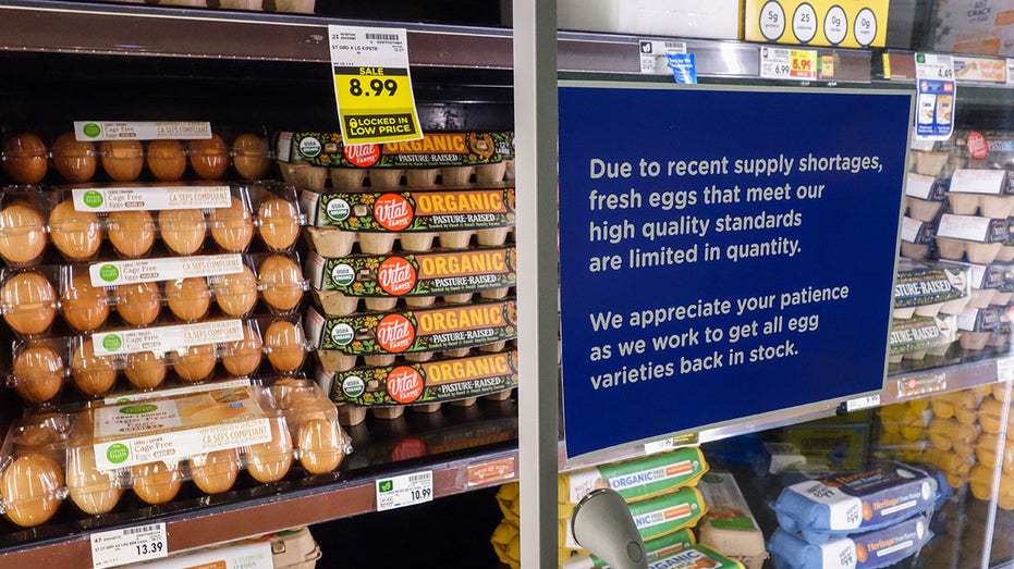  Egg shortage leads to odd pricing disparity with cage-free costing less than regular 