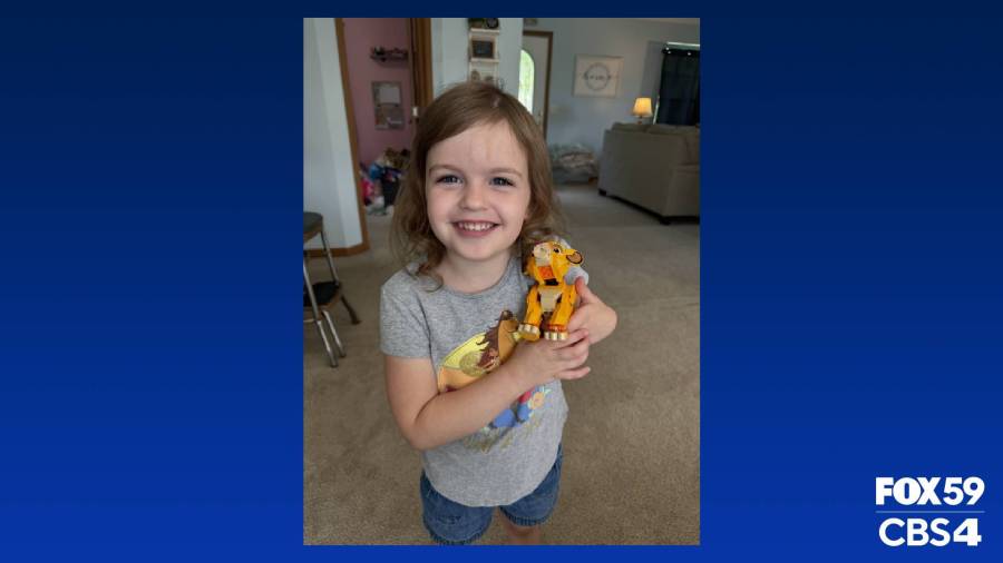  4-year-old Zionsville girl fighting for her life after contracting flu, pneumonia 