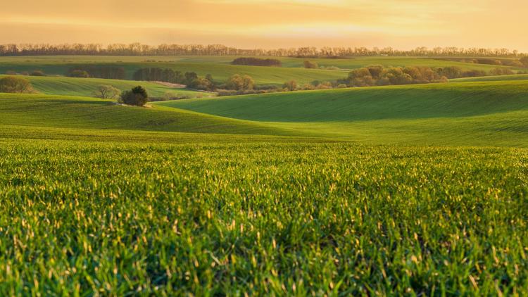  Union County launches major land conservation program to save farmland from rapid development 