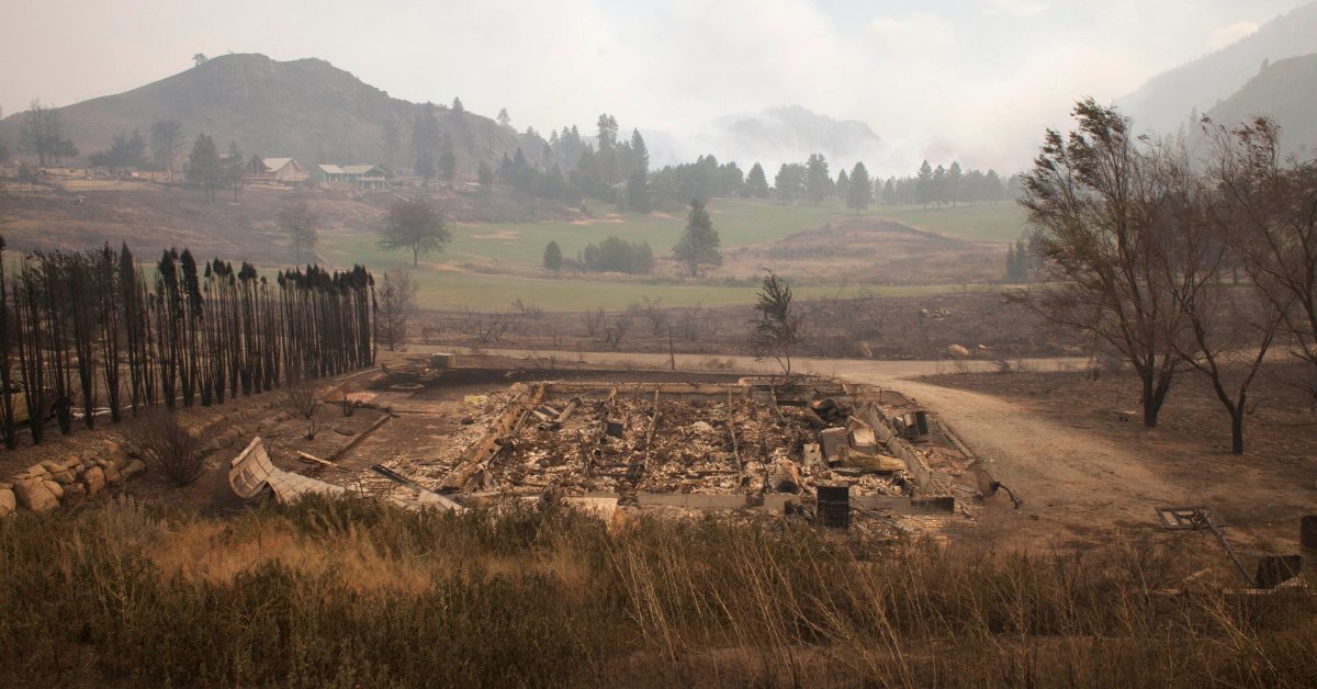  Charred Earth: The Wreckage of the Washington Wildfires 
