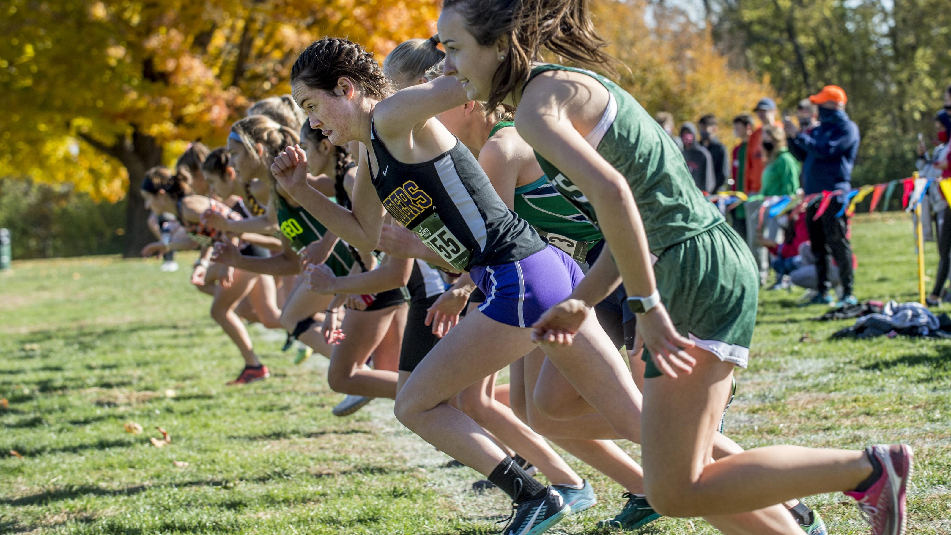   
																Here are the Peoria-area cross country runners heading to IHSA sectionals 
															 