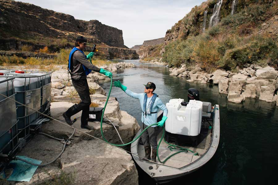  ‘We take this seriously’: ISDA director on out-of-state boat traffic, Idaho quagga mussels 