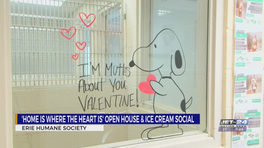  'Home is Where the Heart is' event held Saturday at the Erie Humane Society 