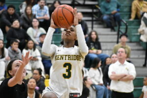  District Tournament preview: Girls basketball 