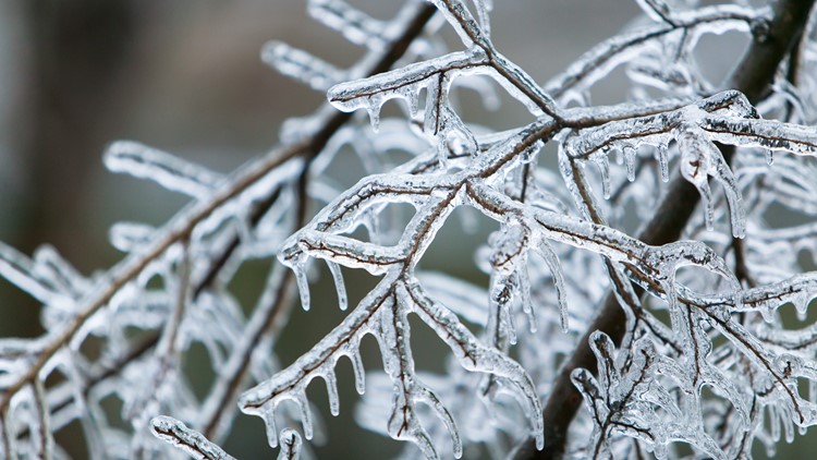  Puget Sound braces for bitter cold as temperatures plunge 