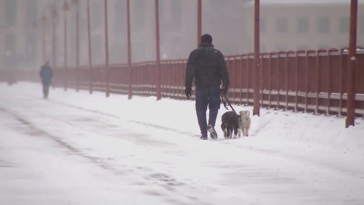  How to keep your pets safe amid extreme cold in the Inland Northwest 