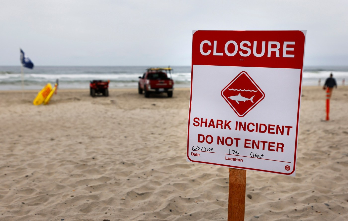  Shark attacks declined sharply in 2024. It’s not clear why 