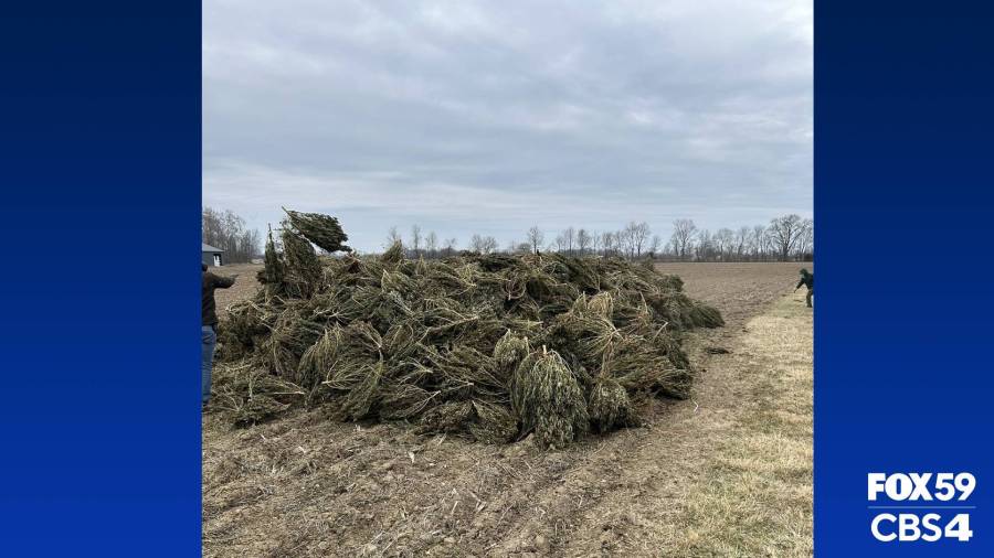  State police seize 7,000 hemp plants in Hamilton County 