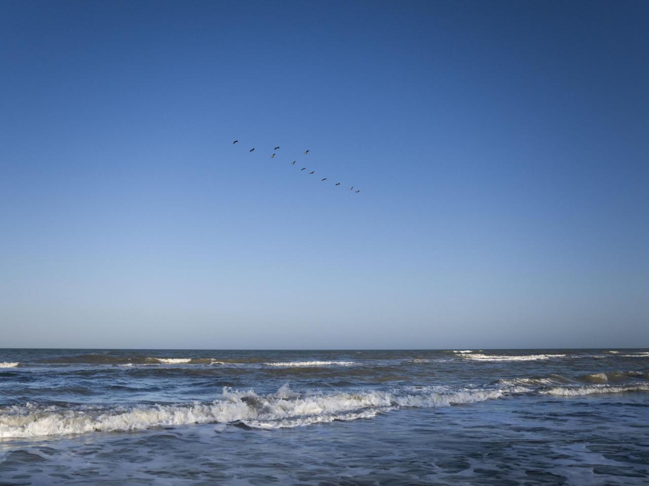  Google Maps now shows Gulf of America for US users 