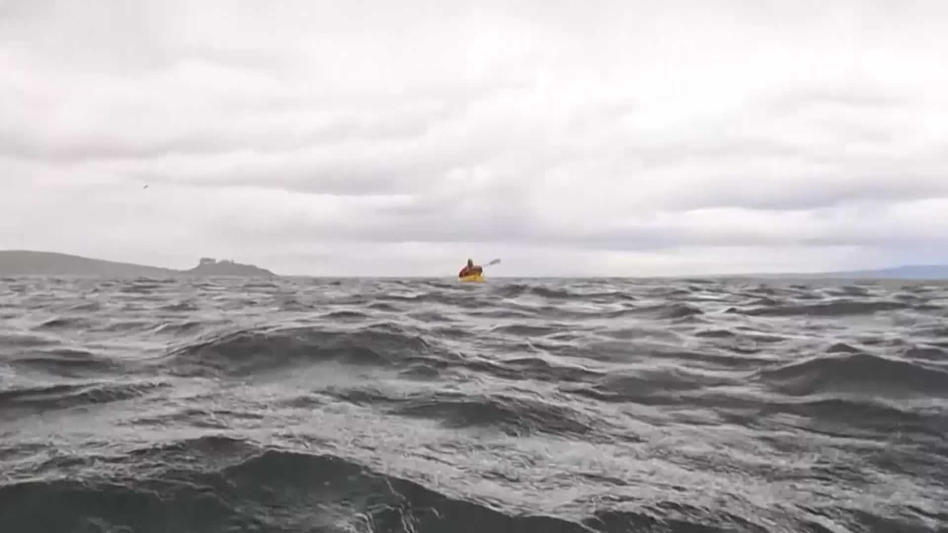  WATCH: Video shows humpback whale briefly swallowing kayaker in Chile 