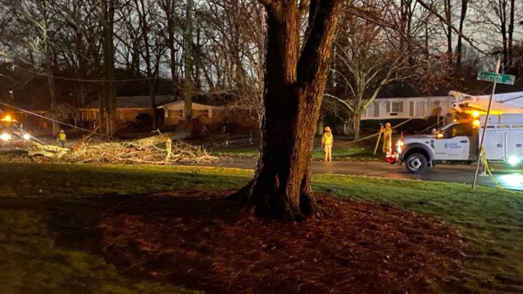  Meteorologist explains why Charlotte trees are susceptible to falling during heavy rain 