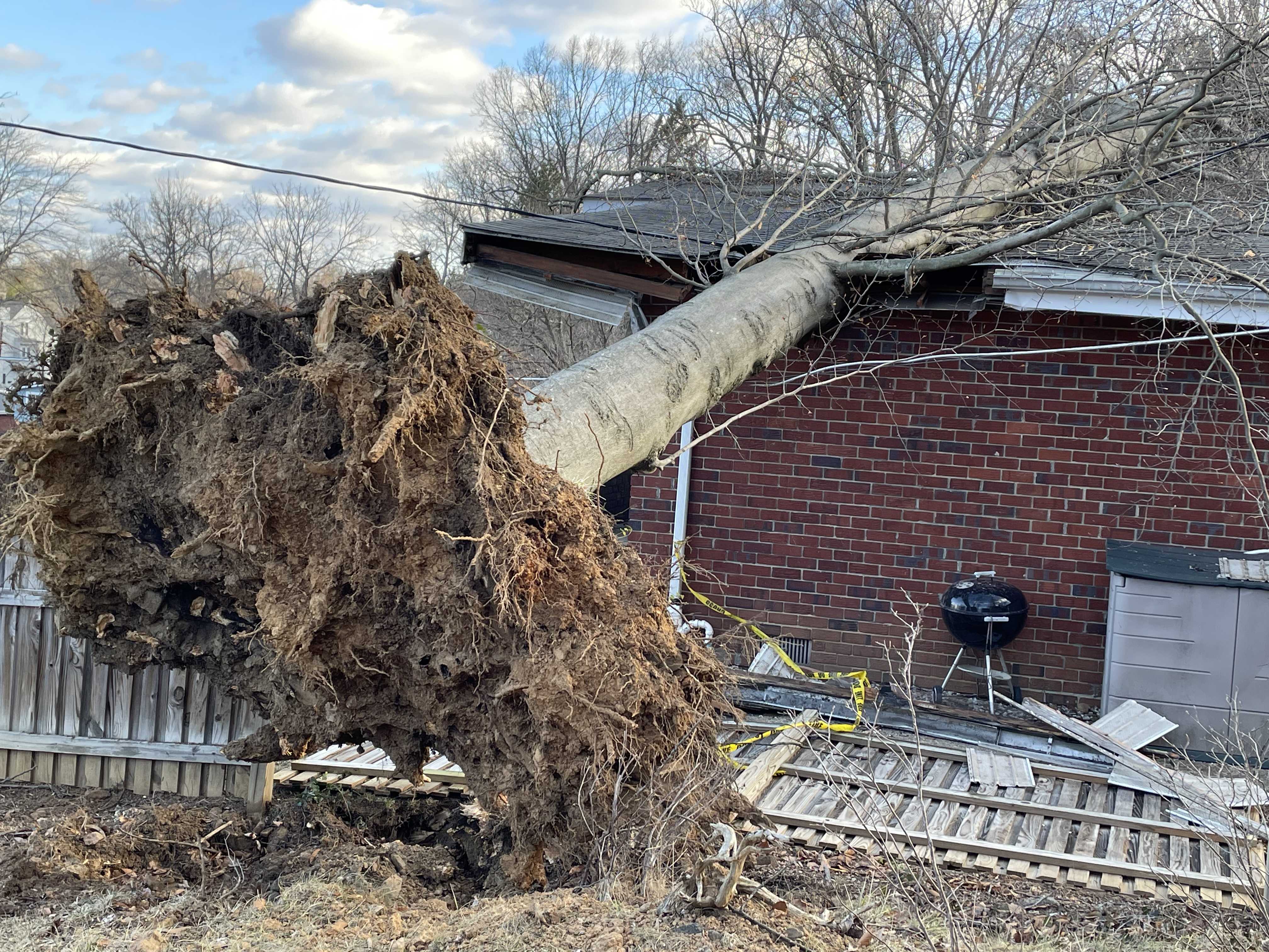  Thousands lose power amid strong wind gusts 