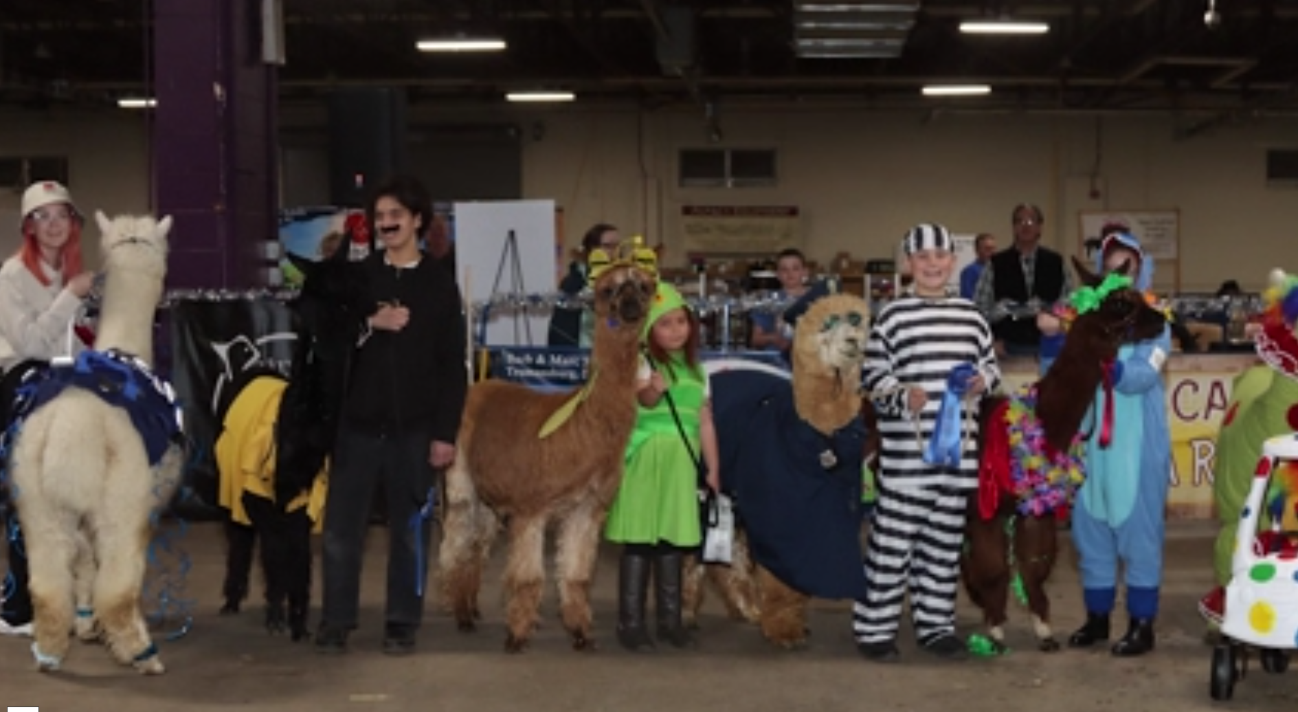  Carroll County to host large alpaca show in March 