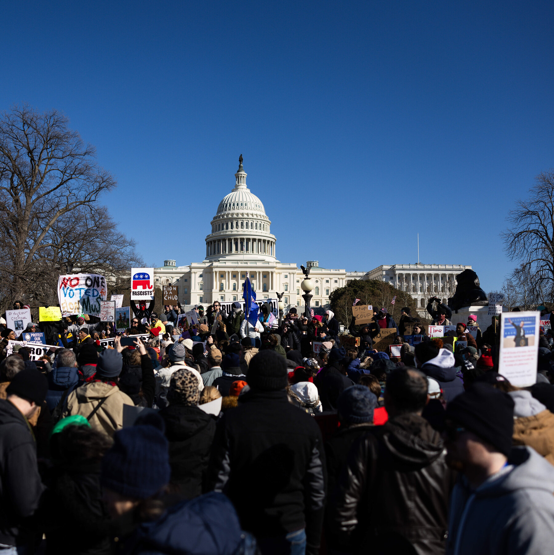  National Science Foundation Fires 168 Workers on Trump’s Order 