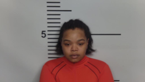  Woman charged with organized crime, stealing more than $25,000 from Louisville businesses 