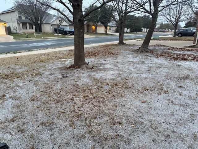  PHOTOS: Flurries, light snow accumulation seen across Central Texas 