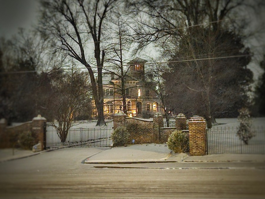  PHOTOS: Snowfall captured across the Mid-South 