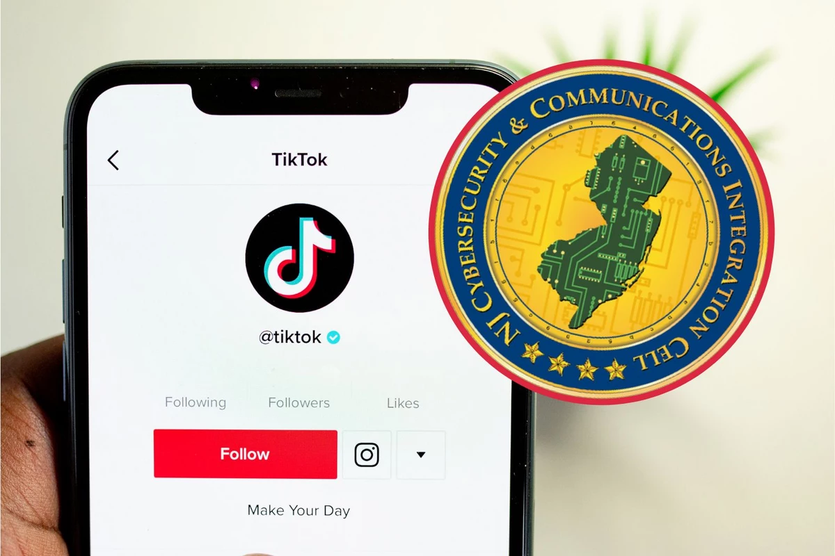  States move to ban TikTok – could New Jersey join them? 