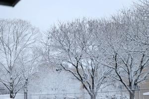  Beshear warns Kentuckians of dangerous mixture of flooding, snow, frigid temperatures 