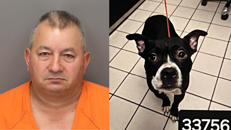  LIVE COVERAGE: 'Dexter the dog' trial — 66-year-old charged in gruesome animal cruelty case 