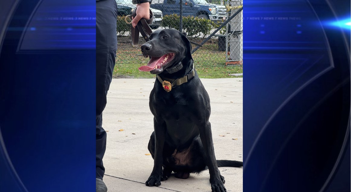  K9 Scout joins Fort Lauderdale Fire Rescue as search-and-rescue dog 