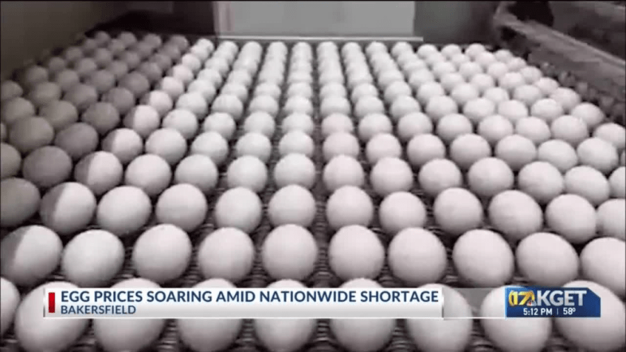  'This whole economy is ridiculous': Egg prices impact Kern County 