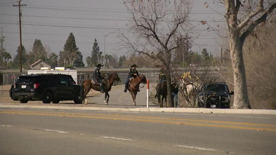  Bakersfield PD, city crews clear out homeless encampments by Kern River in joint-operation 