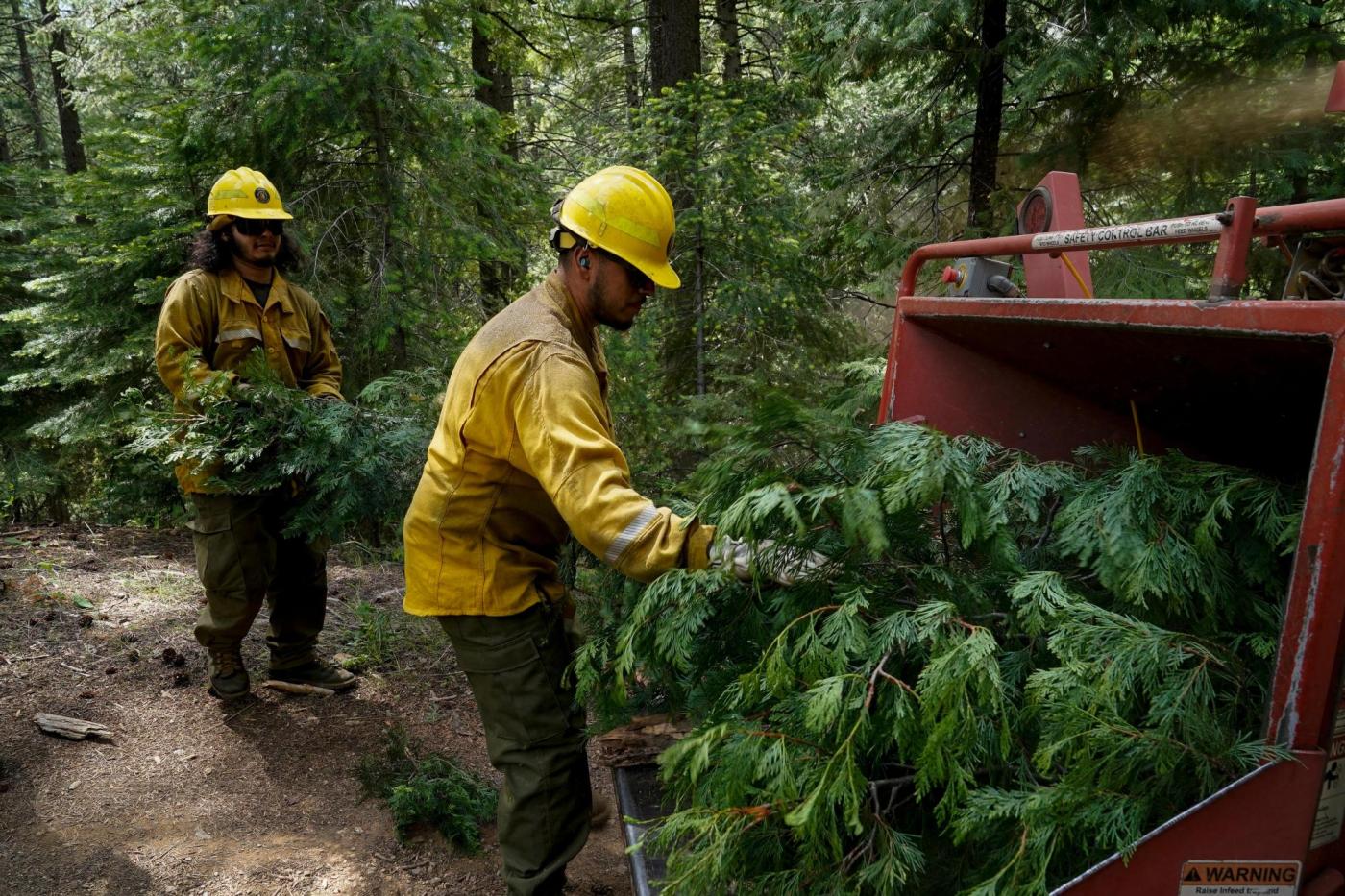  How Trump’s mass layoffs raise the risk of wildfires in the US West, according to fired workers 