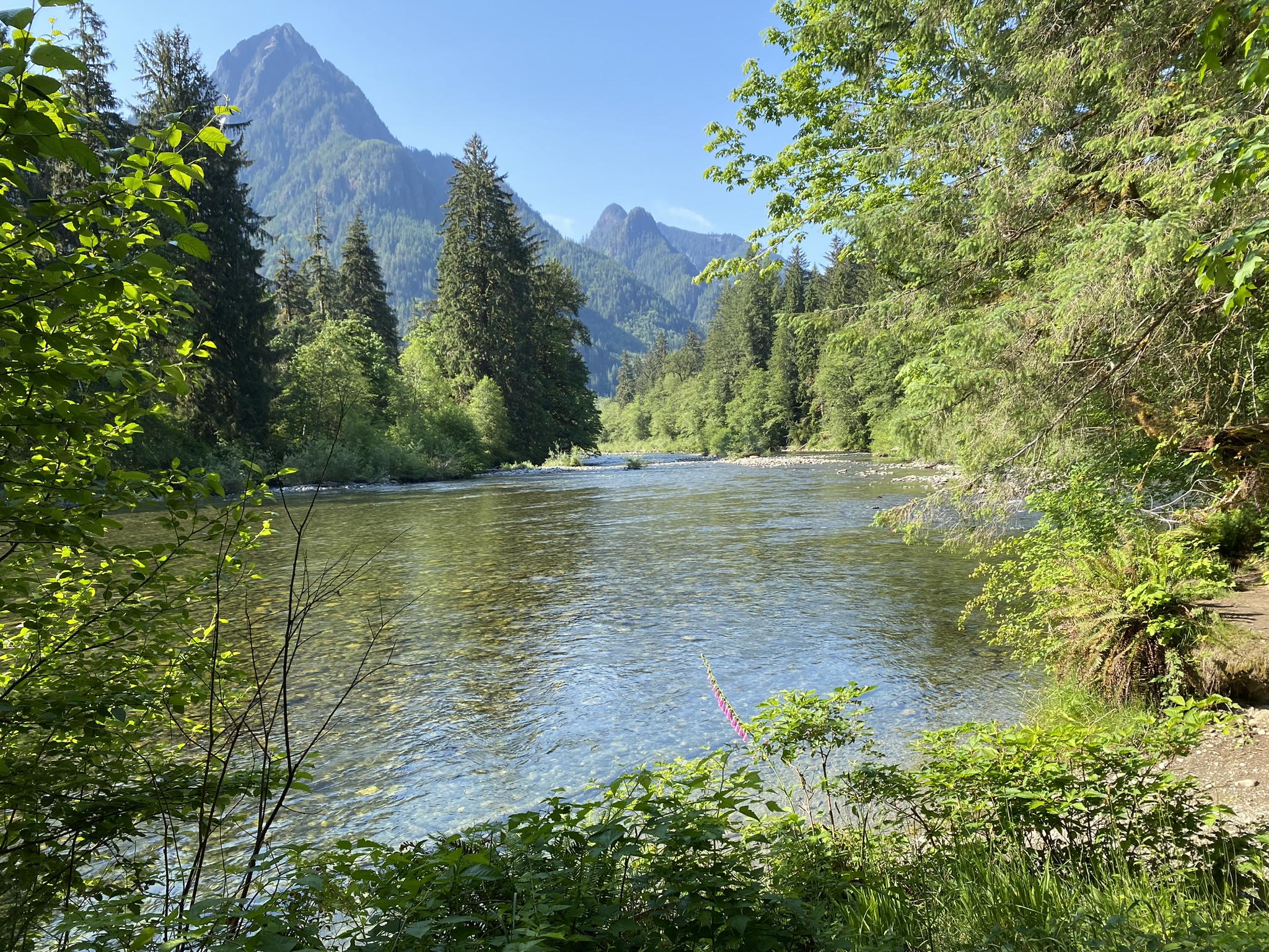  Help Shape North Bend’s Shoreline Access and Trail Plan at a Public Workshop - Living Snoqualmie 